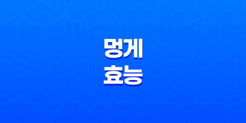 멍게 효능, 혈관 건강부터 다이어트까지 다양한 효능 8 멍게 효능, 혈관 건강부터 다이어트까지 다양한 효능 7