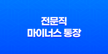전문직 마이너스 통장, 세무사, 회계사, 변호사 2023년 27