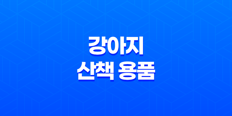 강아지 산책 용품 완벽 가이드 7