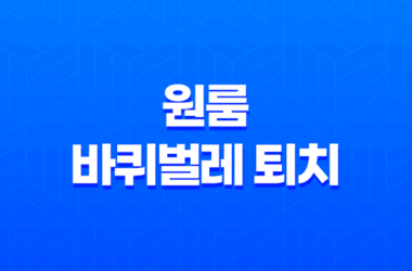 원룸 바퀴벌레 퇴치 : 집주인의 책임과 효과적인 대처법 29