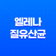 UREX 프로바이오틱스 엘레나 질유산균 : 여성 건강을 동시에 관리하는 최고의 선택 27