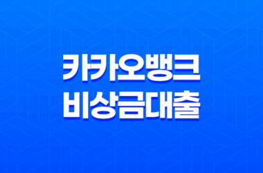 카카오뱅크 비상금대출 신청 중도상환 연장 거절 해결 방법 13
