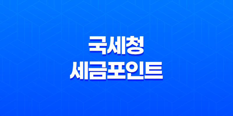 국세청 세금포인트 사용방법, 조회, 사용처 8 국세청 세금포인트 사용방법, 조회, 사용처 7