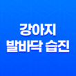 꼼꼼한 관리가 중요한 강아지 발바닥 습진: 증상, 치료 및 예방 23