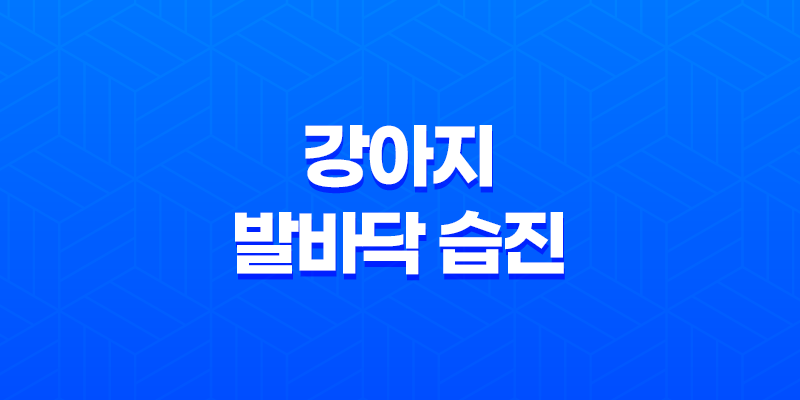 꼼꼼한 관리가 중요한 강아지 발바닥 습진: 증상, 치료 및 예방 8 꼼꼼한 관리가 중요한 강아지 발바닥 습진: 증상, 치료 및 예방 7