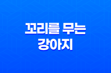 꼬리를 무는 강아지, 그 신호를 올바르게 읽는 법 27