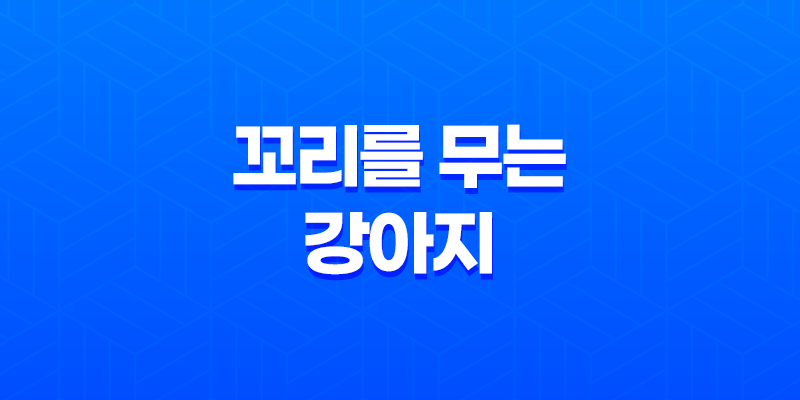 꼬리를 무는 강아지, 그 신호를 올바르게 읽는 법 8 꼬리를 무는 강아지, 그 신호를 올바르게 읽는 법 7