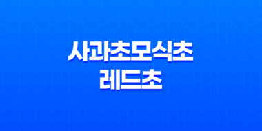 사과초모식초 레드초 건강과 다이어트에 효과적인 사과 발효 식초 43
