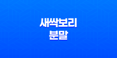 새싹보리 분말 성분, 효능, 가격, 섭취 방법, 후기, 부작용 31