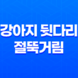 강아지 뒷다리 절뚝거림의 원인과 대처 방법 19