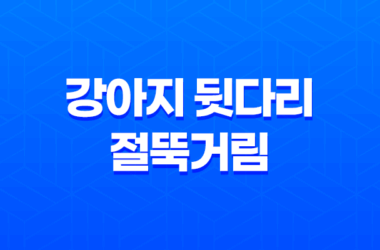 강아지 뒷다리 절뚝거림의 원인과 대처 방법 15