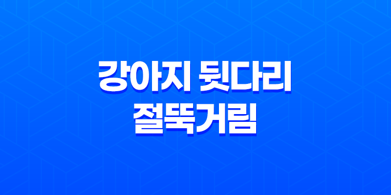 강아지 뒷다리 절뚝거림의 원인과 대처 방법 8 강아지 뒷다리 절뚝거림의 원인과 대처 방법 7