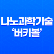 나노과학기술의 미래, '버키볼'의 환경적 영향과 가능성 29