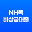 NH콕 비상금대출 신청방법, 조건, 금리, 후기 45
