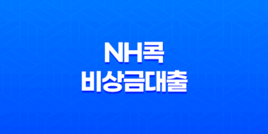 NH콕 비상금대출 신청방법, 조건, 금리, 후기 47