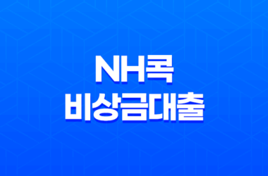 NH콕 비상금대출 신청방법, 조건, 금리, 후기 23