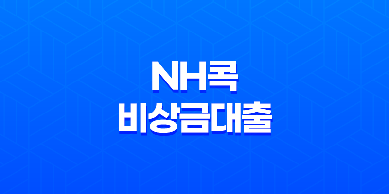 NH콕 비상금대출 신청방법, 조건, 금리, 후기 7