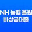 NH 농협 올원 비상금대출 소득, 직업과 상관없이 휴대폰만 있으면 신속 대출 가능 17