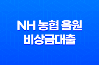 NH 농협 올원 비상금대출 소득, 직업과 상관없이 휴대폰만 있으면 신속 대출 가능 27