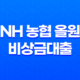 NH 농협 올원 비상금대출 소득, 직업과 상관없이 휴대폰만 있으면 신속 대출 가능 27