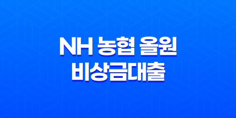 NH 농협 올원 비상금대출 소득, 직업과 상관없이 휴대폰만 있으면 신속 대출 가능 7