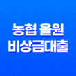농협 올원 비상금대출, 소득 낮은 사람도 가능한 대출 상품 15