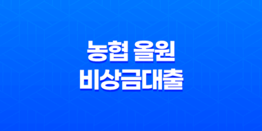 농협 올원 비상금대출, 소득 낮은 사람도 가능한 대출 상품 53