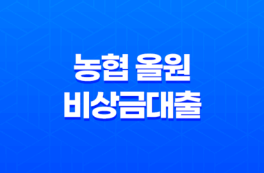 농협 올원 비상금대출, 소득 낮은 사람도 가능한 대출 상품 17