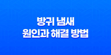 방귀 냄새의 원인과 해결 방법, 냄새나는 방귀를 없애는 효과적인 방법 84