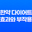 한약 다이어트의 효과와 부작용 알아보기 25