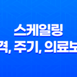 스케일링 가격, 주기, 의료보험 적용여부 및 주의사항 23