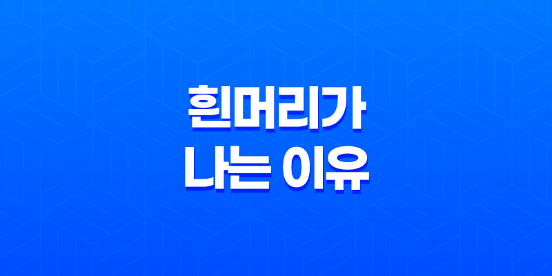 흰머리가 나는 이유 5가지 및 예방법 8 흰머리가 나는 이유 5가지 및 예방법 7