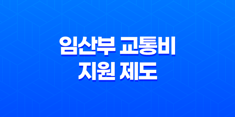 임산부 교통비 지원 제도 및 내용, 대상, 신청기간 8 임산부 교통비 지원 제도 및 내용, 대상, 신청기간 7
