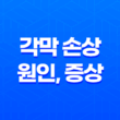 각막 손상 원인, 증상, 치료방법, 대처방법 19