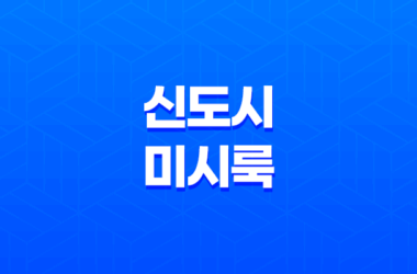 신도시 미시룩 특징, 의미, 뜻, 동탄룩, 새댁룩 13