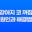 강아지 코 까짐 원인과 해결법 - 가장 효과적인 관리법에 대한 이해 19