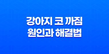 강아지 코 까짐 원인과 해결법 - 가장 효과적인 관리법에 대한 이해 51