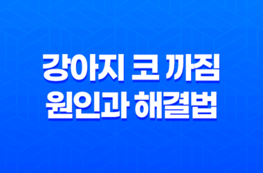 강아지 코 까짐 원인과 해결법 - 가장 효과적인 관리법에 대한 이해 13