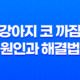 강아지 코 까짐 원인과 해결법 - 가장 효과적인 관리법에 대한 이해 19