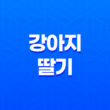 강아지 딸기 안전하게 즐길 수 있는 방법(+ 딸기 급여 방법) 23