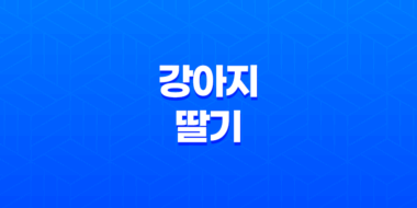 강아지 딸기 안전하게 즐길 수 있는 방법(+ 딸기 급여 방법) 47
