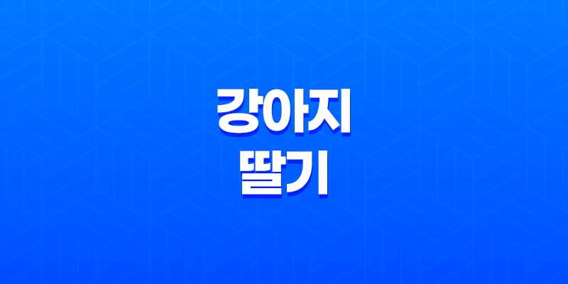 강아지 딸기 안전하게 즐길 수 있는 방법(+ 딸기 급여 방법) 8 강아지 딸기 안전하게 즐길 수 있는 방법(+ 딸기 급여 방법) 7