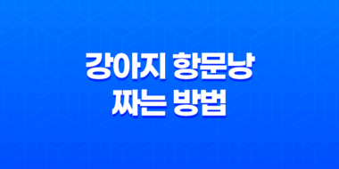강아지 항문낭 짜는 방법과 시기 알아보기 71
