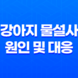 강아지 물설사의 원인 및 대응 방안 37