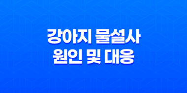 강아지 물설사의 원인 및 대응 방안 39
