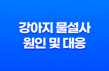 강아지 물설사의 원인 및 대응 방안 23