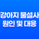 강아지 물설사의 원인 및 대응 방안 27