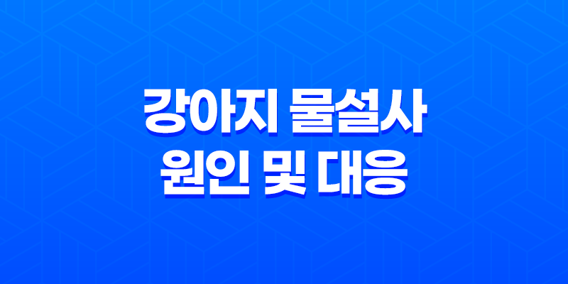 강아지 물설사의 원인 및 대응 방안 8 강아지 물설사의 원인 및 대응 방안 7