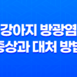 강아지 방광염 증상과 대처 방법 알아보기 29
