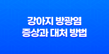 강아지 방광염 증상과 대처 방법 알아보기 67
